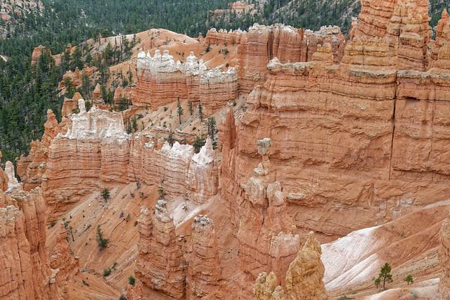 Zooming in to See Things Up Close (Bryce Canyon National Park)