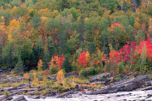 Autumn Color at Jay Cooke State Park