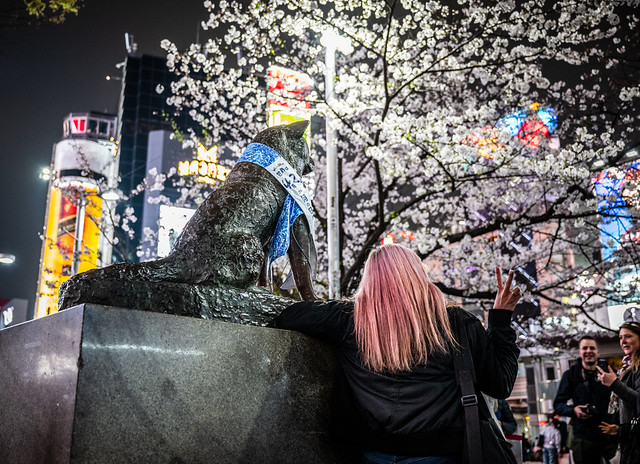 Hachiko and pink hair