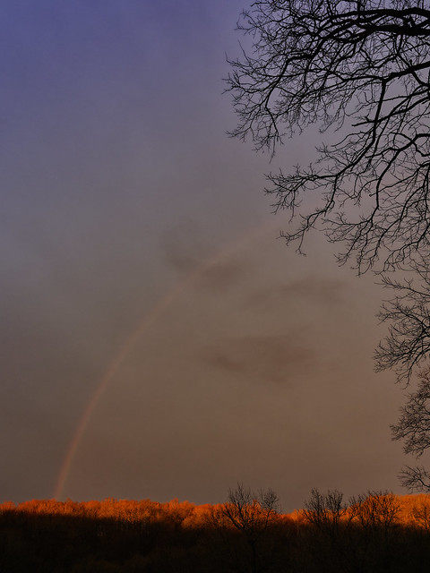 Rainbows at dawn
