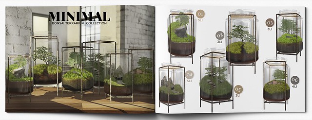 MINIMAL - Bonsai Terrarium Collection