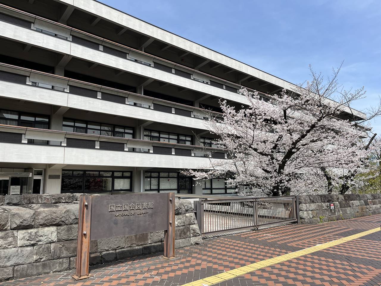 【東京】国立国会図書館の桜