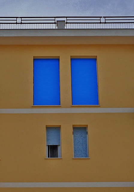 Blue Windows, 2024