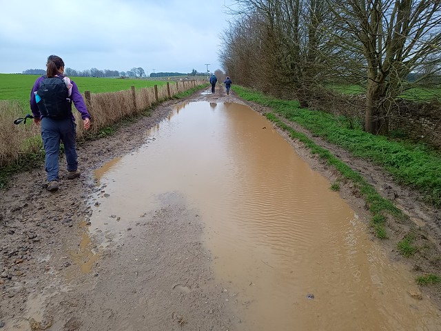 UK - Gloucestershire - Cheltenham - Near Birdlip - Walking along wet footpath