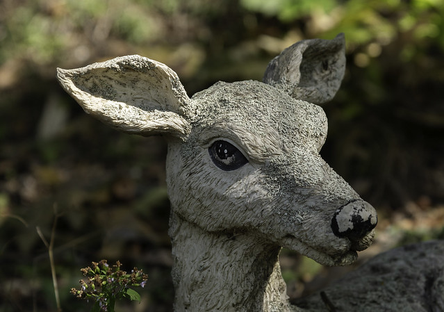 Deer Statuary