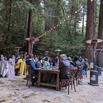 wedding dinner in the redwoods 