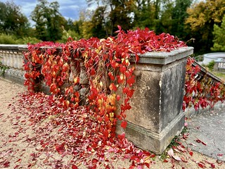 Herbst in Potsdam - Orangerieschloss