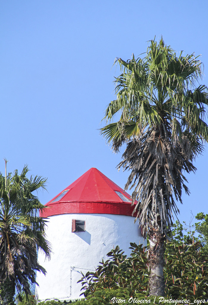 Moinho de Vento - Capelo - Ilha do Faial - Portugal 🇵🇹