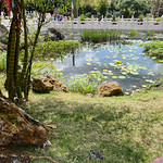 IMG_2050.HEIC Garden in China section