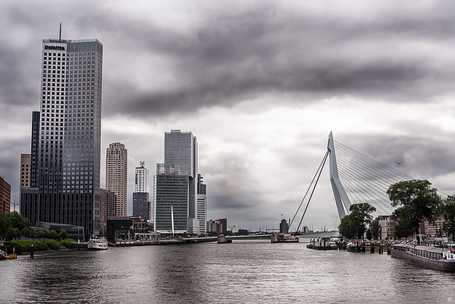 Rotterdam et le Erasmusbrug