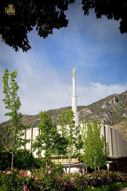 Provo Temple in Late Spring