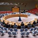 Security Council Meets on Working Methods