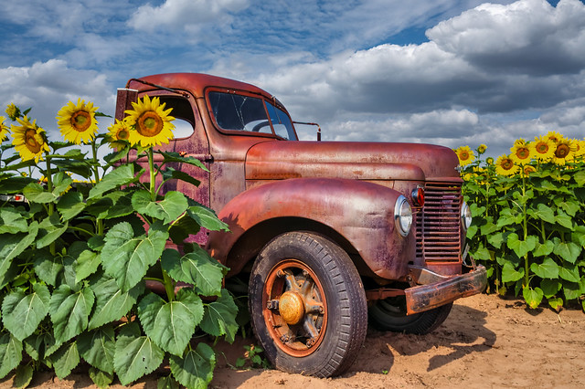 Old Sunflower Truck