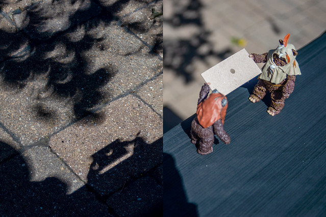 Ewoks are great photo assistants during a solar eclipse