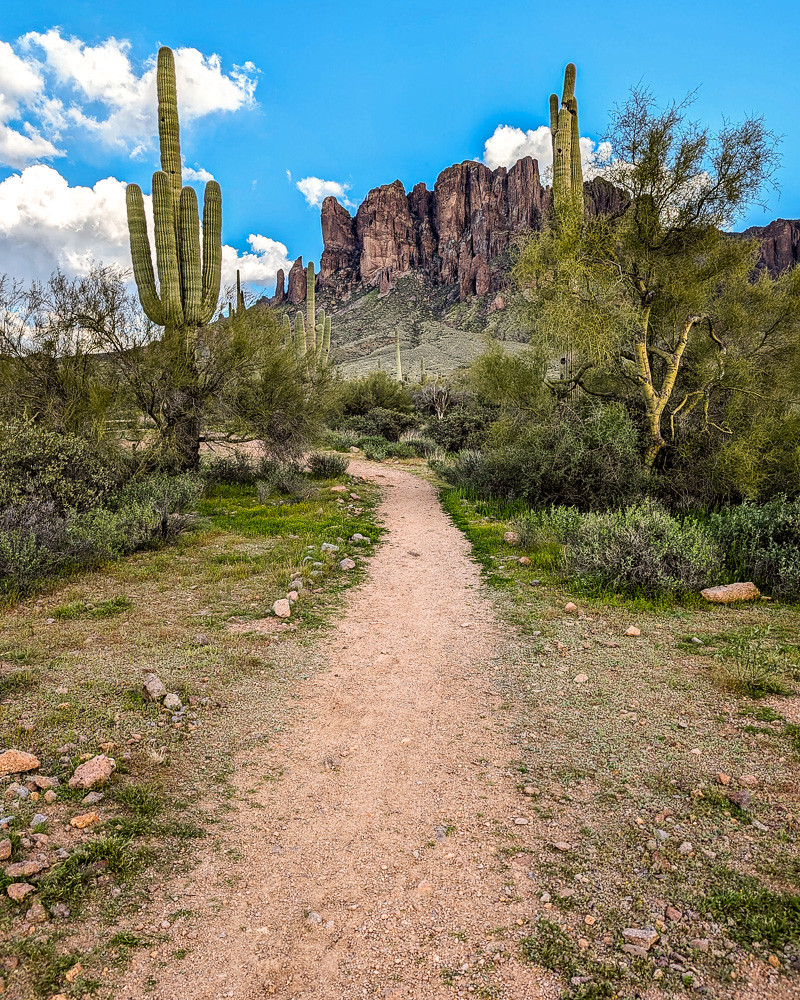 Walking Trail, Apache Junction, Arizona  (3302-ph)