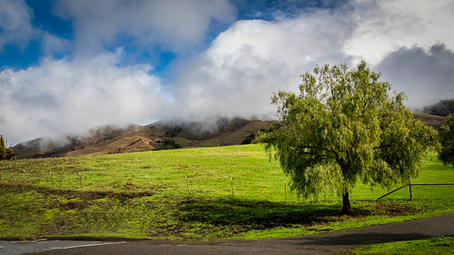 Mission Peak Trail Head After and a Rain Shower. No.6 