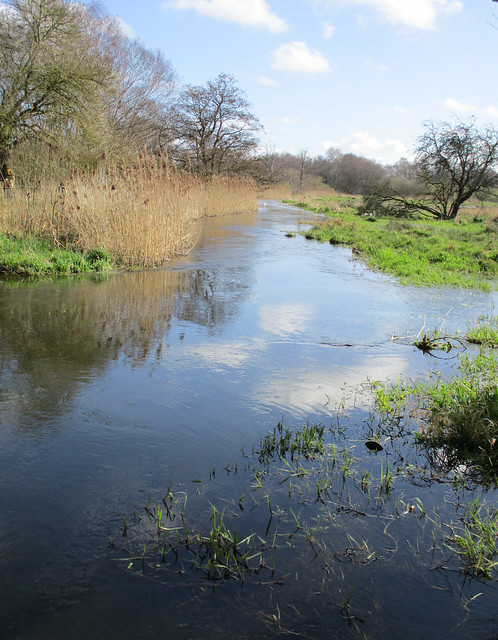 River Wensum at Pensthorpe
