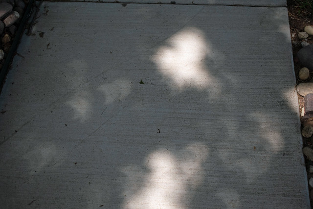 Sidewalk shadows