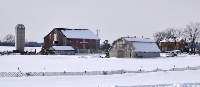 Winter at Kilcurry Farm, Caledon, Ontario.