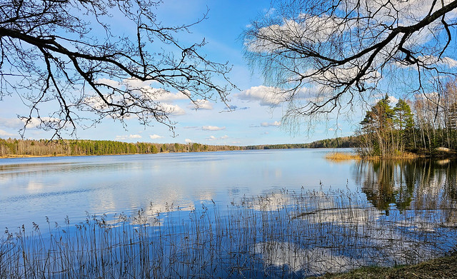 Vacker vårdag, molnen på himlen reflekteras i vattnet, Rastplats 1, sjön Ålsjön, Regna, Östergötland, 2024-04-08