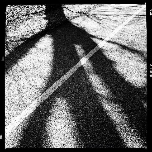 Shadow Was Walking Like A Man