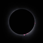 Solar Eclipse April 8, 2024 Prominences, Eclipse at prime focus 72 mm f/6 refractor, Nikon Z6 camera