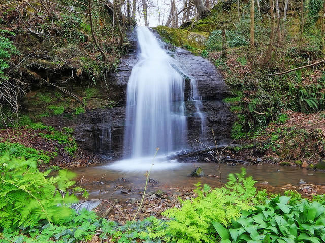 Dura Den Waterfall
