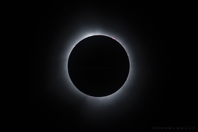 Total Eclipse, April 8 2024