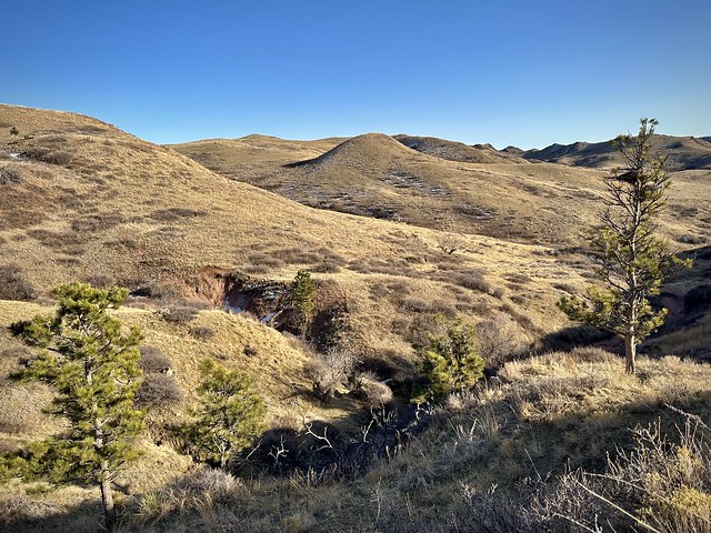 Dutch Creek Hills