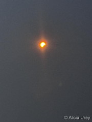 April 8, 2024 - The partial solar eclipse.  (Alicia Urey)