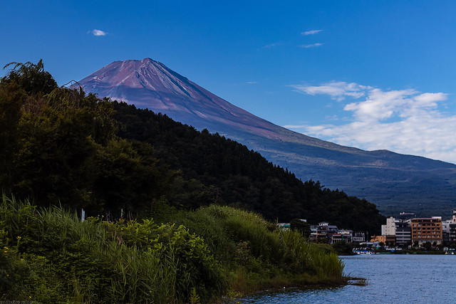 20230805_f01 : Morning Fuji