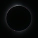 Solar Eclipse 2024 - prominences