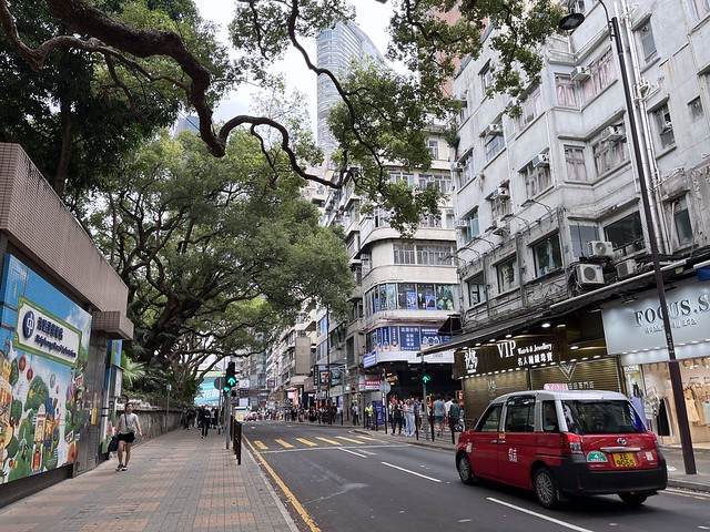 Kowloon Park #4