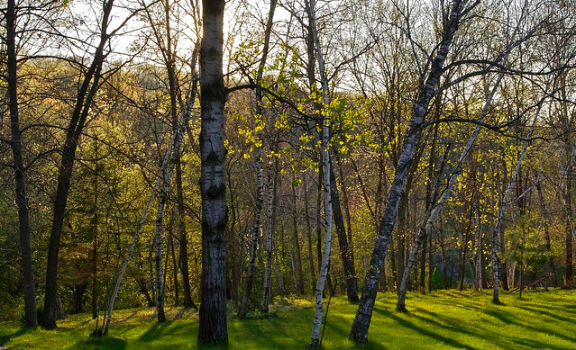 IMG_2760.jpg_Memories of Wisconsin Spring.