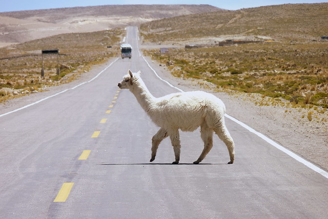 On the road in Peru