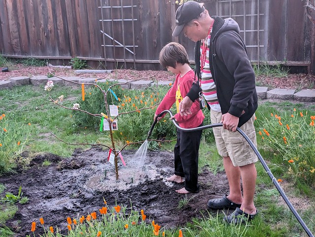 April 9: Watering the Tree