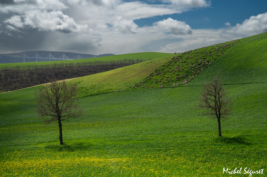 Du vert, du jaune et du bleu, un printemps en Aveyron