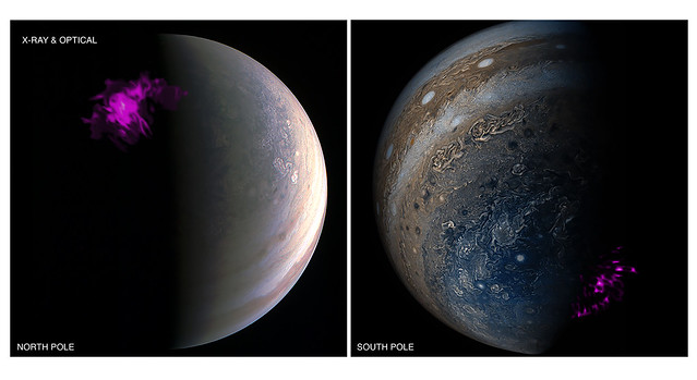 The Dynamic Duo: Jupiter's Independently Pulsating X-ray Auroras