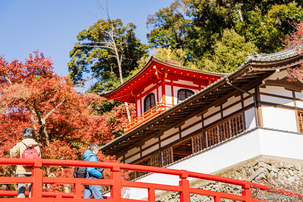 Puente bermell&oacute;n del templo Ryuan-ji