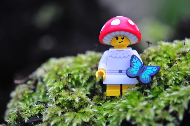 LEGO mushroom