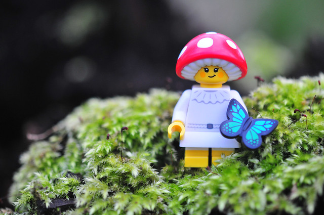 LEGO mushroom-2
