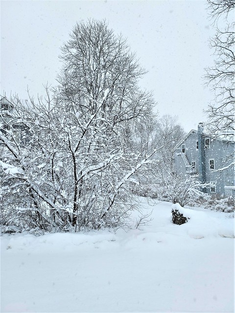 Snowy Day in Warwick NY, 2024