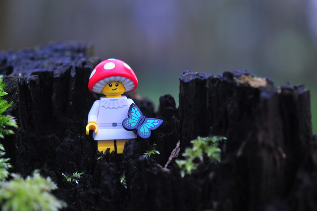 LEGO mushroom-3