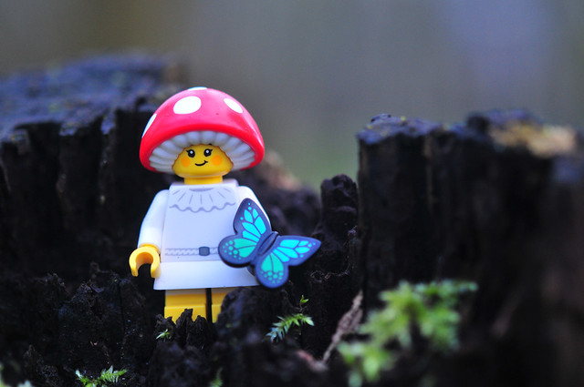 LEGO mushroom-4