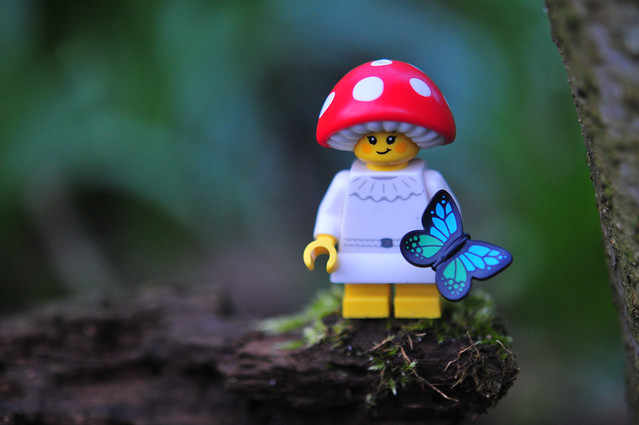 LEGO mushroom-5