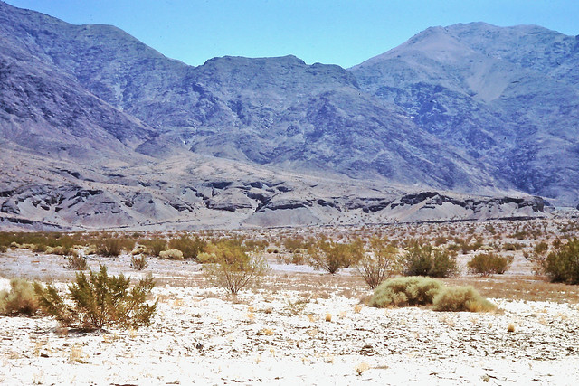 DSC01148 Desert landscape