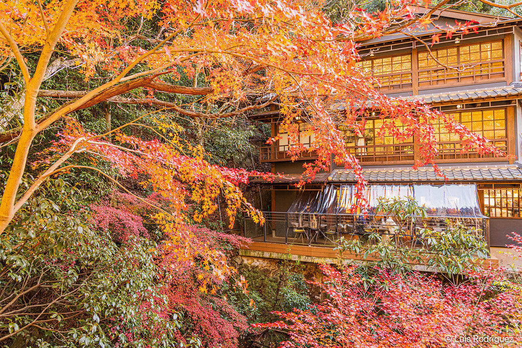 Antiguo ryokan Hashimoto-tei, hoy un restaurante