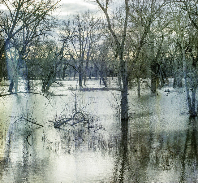 floodwaters 3