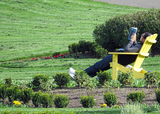 Man reading in yellow Adirondack chair Golden Gate Park San Francisco 20240130-145508