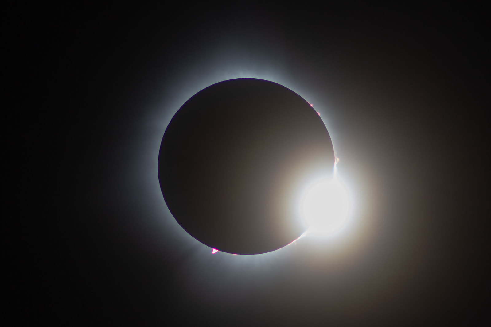 Eclipse-08-04-24-02